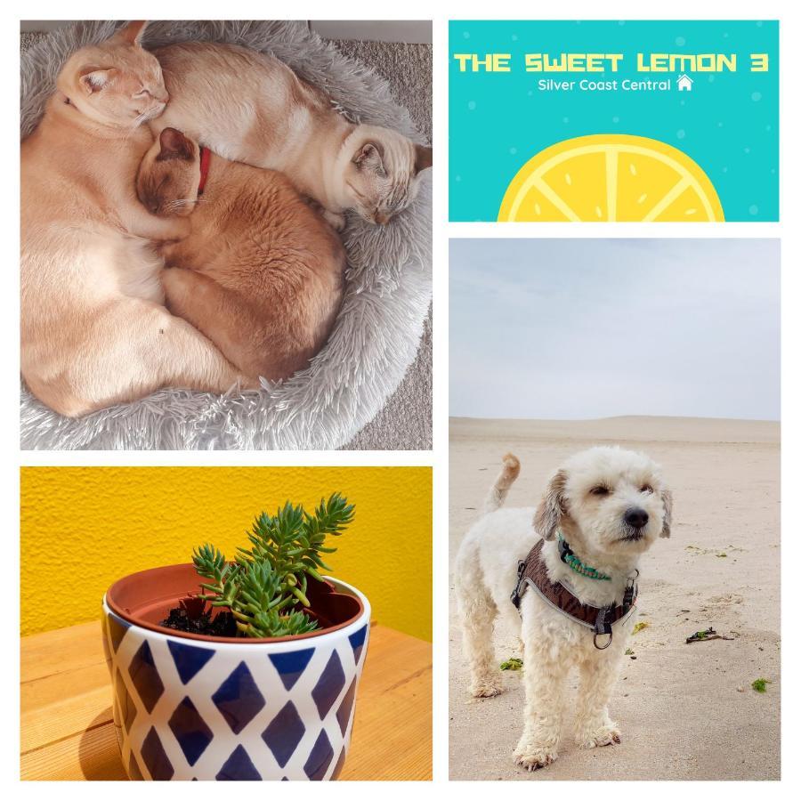 The Sweet Lemon 3 Apartment Bombarral Luaran gambar
